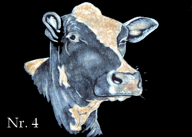 Holstein (4)