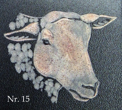 Weisses Alpenschaf WAS (15)