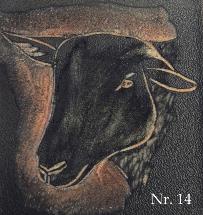 Schwarzbrauner Bergschafkopf (14)