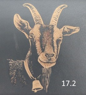 Strahlen Geisskopf (17.2)