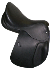 Pferdesport 🇨🇭