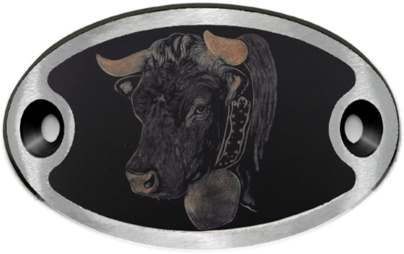 Schnalle Katy Eringerkopf (10900-40.81M.89)