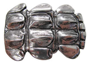 Schnalle Fashion   40mm (10900-40.107)