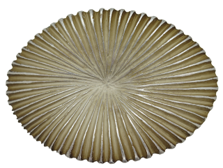 Schnalle Fashion   35mm (10900-35.24)