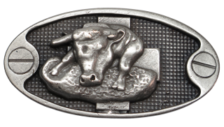 Schnalle Eidgenoss AS (10900-40.124.EDG)