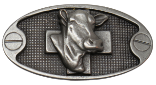 Schnalle Eidgenoss AS (10900-40.124.EDG)