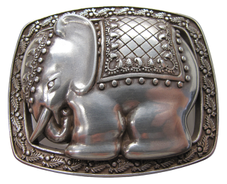 Schnalle Fashion   40mm (10900-40.24)