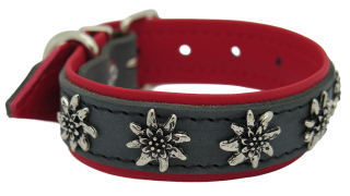 Halsband Edelweiss 25mm (16206)