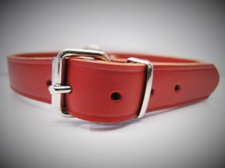 Halsband Einfach  (16100)