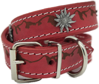 Halsband Mountains (13035)