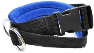 Jogginggurt mit elastischer Rundleine (23225)