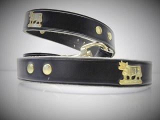 Kurzleine Appenzell B 23mmx110cm (21290)