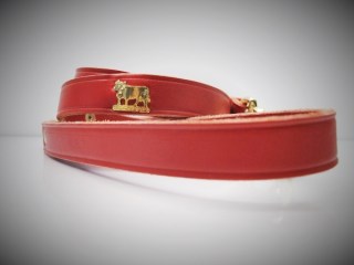 Kurzleine Appenzell S 18mmx110cm (21250)