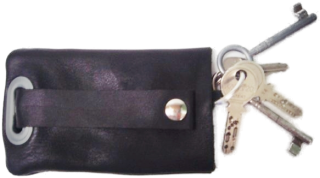 Schlüsseleinzug (19708)