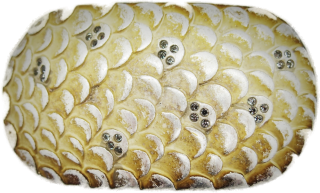 Schnalle Fashion   35mm (10900-35.27)