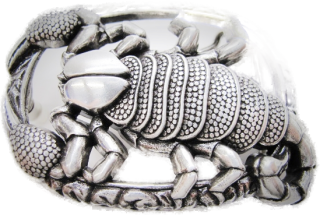 Schnalle Fashion   40mm (10900-40.114)