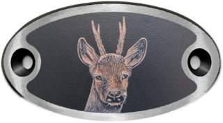 Schnalle Katy Rehbock (10900-40.81M.47)