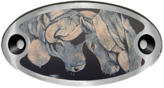 Schnalle Katy Stecher (10900-40.81M.41)