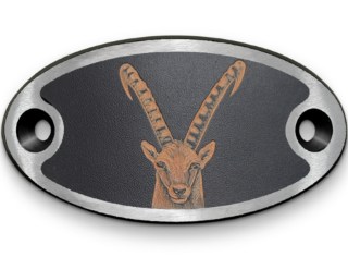 Schnalle Katy Steinbockkopf (10900-40.81M.48)