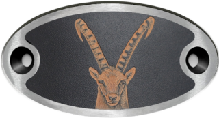 Schnalle Katy Steinbockkopf (10900-40.81M.48)