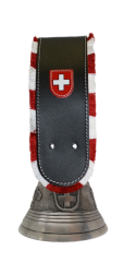 Souvenirglocke Swiss WA  (10702)