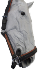 Stallhalfter Schwarz (14730.140)