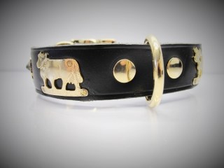 Appenzeller Halsband Gerade B 