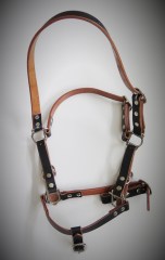 Halfter Emme für Muni Schwarz